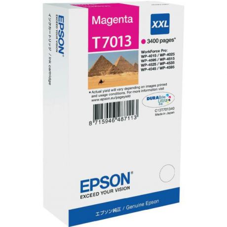Epson Epson C13T70134010