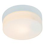 Потолочный светильник Arte Lamp Aqua A3211PL-1WH