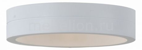 ST-Luce Накладной светильник SL562.501.01