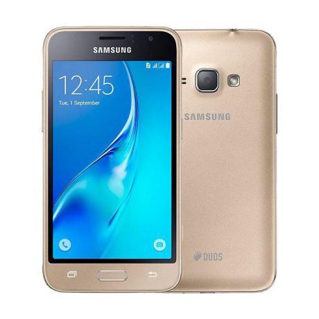 Samsung Samsung Galaxy J1 mini SM-J105 8Гб, Золотой
