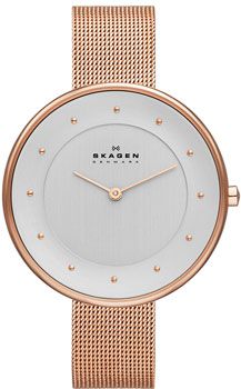 Skagen Часы Skagen SKW2142. Коллекция Mesh