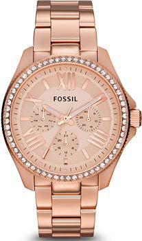 Fossil Часы Fossil AM4483. Коллекция Cecile