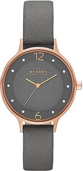 Skagen Часы Skagen SKW2267. Коллекция Leather