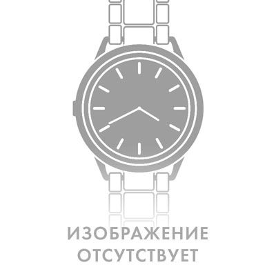 Skagen Браслет-ремешок Skagen SkSKW2002