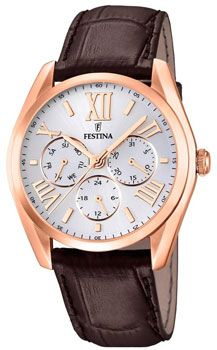 Festina Часы Festina 16754.1. Коллекция Multifunction