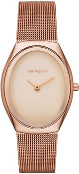 Skagen Часы Skagen SKW2299. Коллекция Mesh