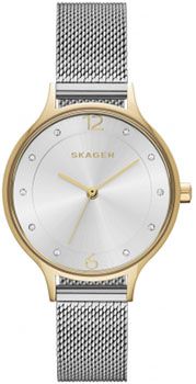 Skagen Часы Skagen SKW2340. Коллекция Mesh