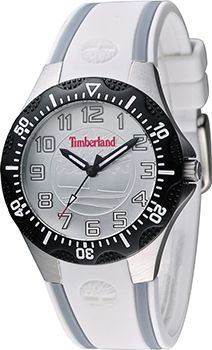 Timberland Часы Timberland TBL.14323MSTB_04. Коллекция Dixiville