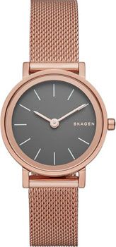 Skagen Часы Skagen SKW2470. Коллекция Mesh