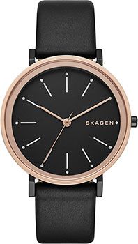 Skagen Часы Skagen SKW2490. Коллекция Leather