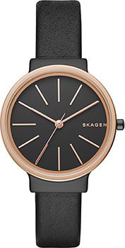 Skagen Часы Skagen SKW2480. Коллекция Leather