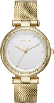 Skagen Часы Skagen SKW2486. Коллекция Mesh