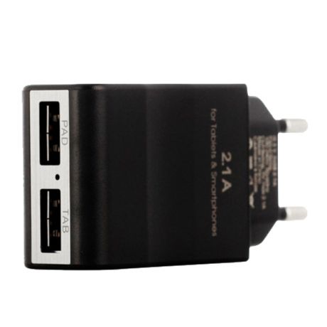 InterStep Travel Charger 2A 2USB
