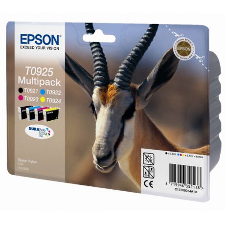 Epson T0925 (C13T10854A10)