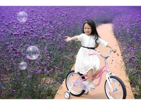Велосипед Royal baby Little Swan 12 розовый двухколёсный