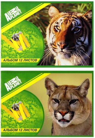 Альбом для рисования Action! Animal Planet a4 12 листов ap-aa-12/1 в ассортименте