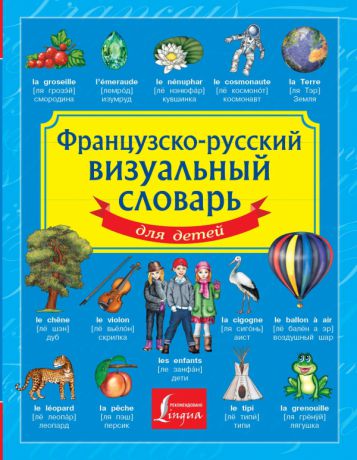 Аст Французско-русский визуальный словарь для детей