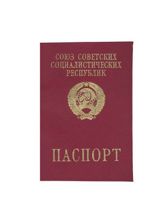 Mitya Veselkov Обложка для паспорта