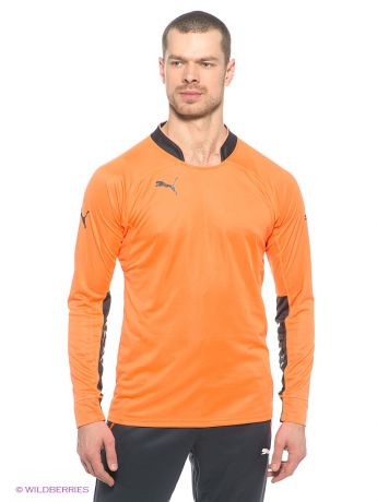 Puma Лонгслив GK Shirt