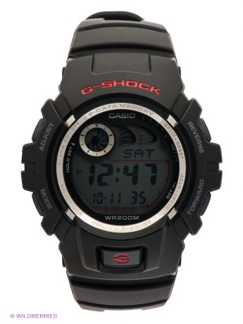 CASIO Часы G-SHOCK G-2900F-1V