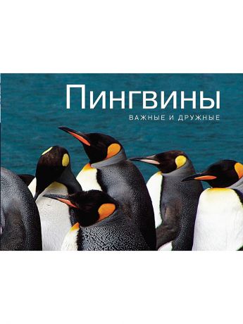 Издательство КоЛибри Пингвины. Важные и дружные