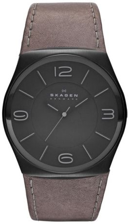 Skagen Мужские датские наручные часы Skagen SKW6041