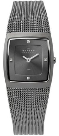 Skagen Женские датские наручные часы Skagen 380XSMMM1