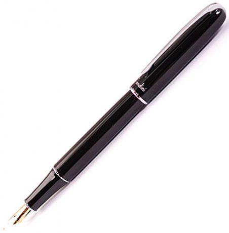 Fandini Перьевая ручка Fandini Fn301F Black