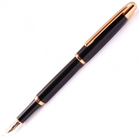 Fandini Перьевая ручка Fandini Fn311F Black