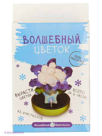 Бумбарам Волшебные кристаллы Васильковый цветок