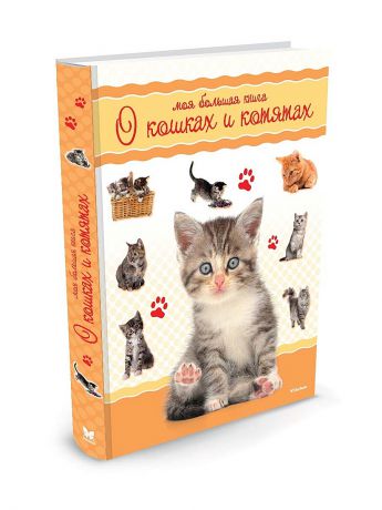 Издательство Махаон Моя большая книга о кошках и котятах