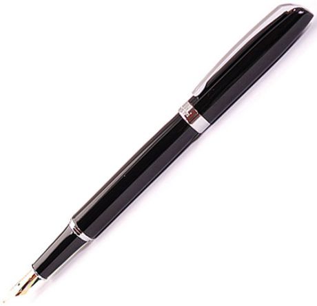 Fandini Перьевая ручка Fandini Fn302F Black