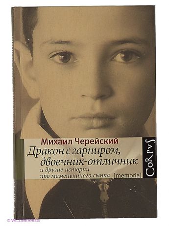 Издательство АСТ Дракон с гарниром, двоечник-отличник и другие истории про маменькиного сынка