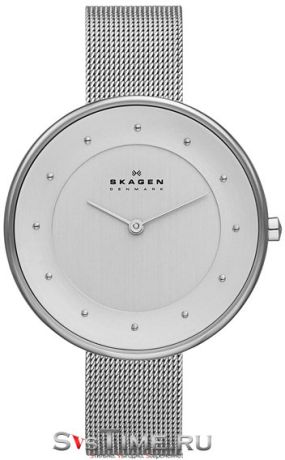 Skagen Женские датские наручные часы Skagen SKW2140