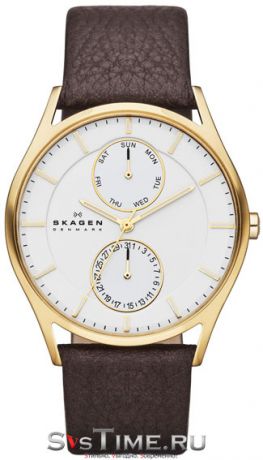 Skagen Мужские датские наручные часы Skagen SKW6066