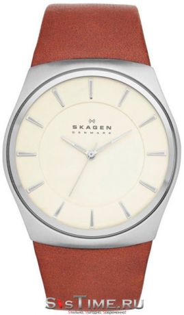 Skagen Мужские датские наручные часы Skagen SKW6084