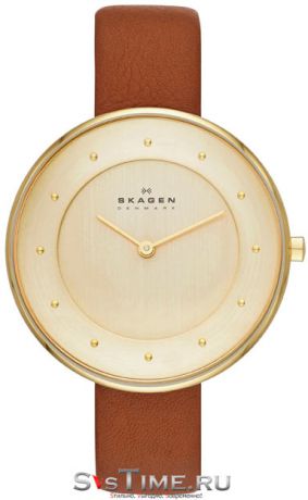 Skagen Женские датские наручные часы Skagen SKW2138