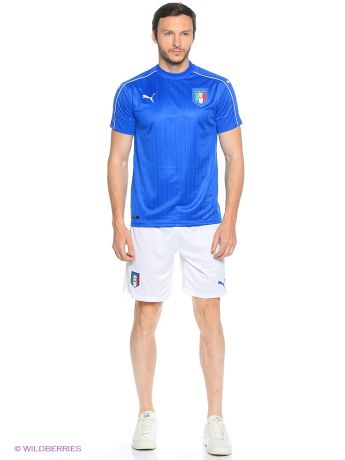 Puma Шорты FIGC Italia Shorts Replica