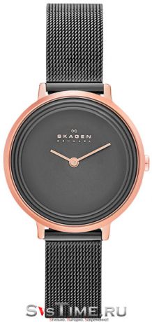 Skagen Женские датские наручные часы Skagen SKW2277