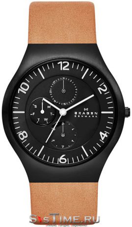 Skagen Мужские датские наручные часы Skagen SKW6114