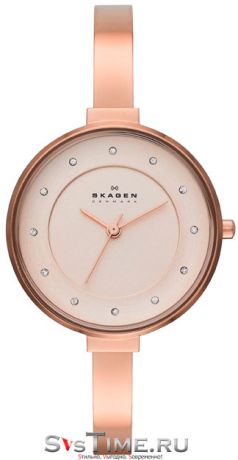 Skagen Женские датские наручные часы Skagen SKW2230