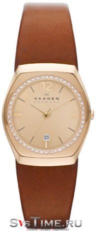 Skagen Женские датские наручные часы Skagen SKW2258