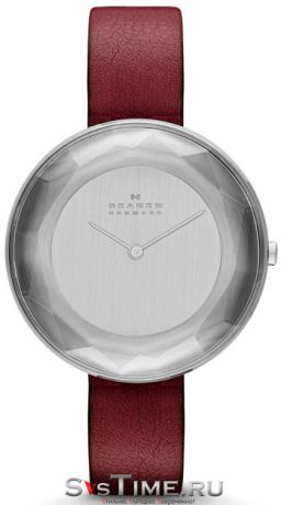 Skagen Женские датские наручные часы Skagen SKW2273