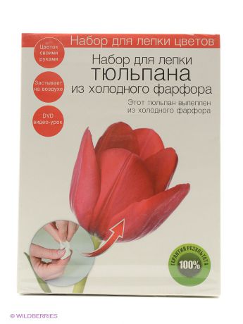 VELD-CO Набор для создания цветов из холодного фарфора Тюльпан
