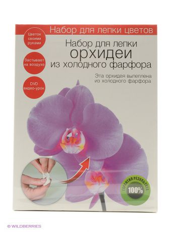 VELD-CO Набор для создания цветов из холодного фарфора Орхидея