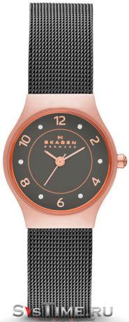 Skagen Женские датские наручные часы Skagen SKW2270