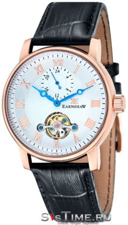 Thomas Earnshaw Мужские английские наручные часы Thomas Earnshaw ES-8042-03