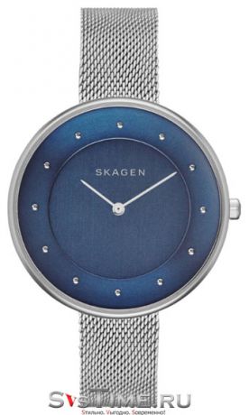 Skagen Женские датские наручные часы Skagen SKW2293