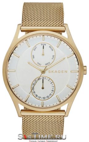 Skagen Мужские датские наручные часы Skagen SKW6173