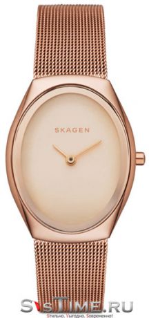 Skagen Женские датские наручные часы Skagen SKW2299